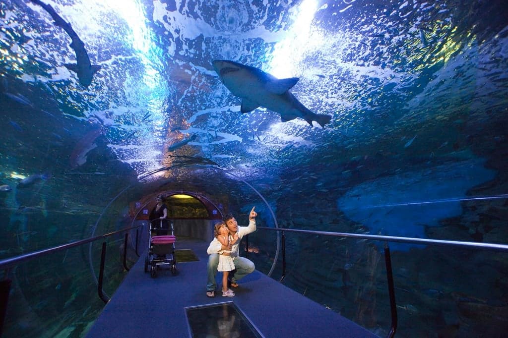 Aquarium Donostia